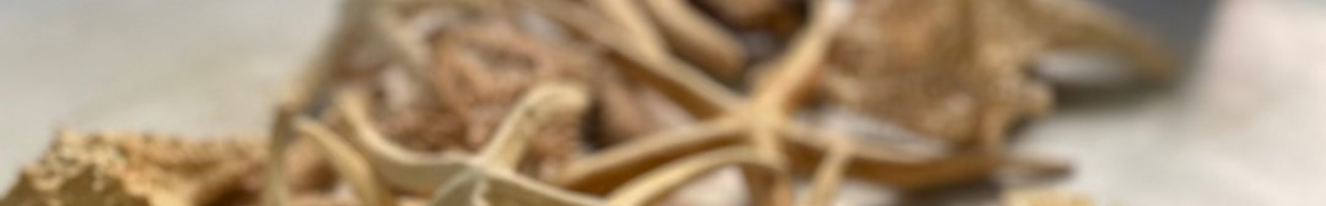 571034994_1398824822252125_7956480536028002779_n